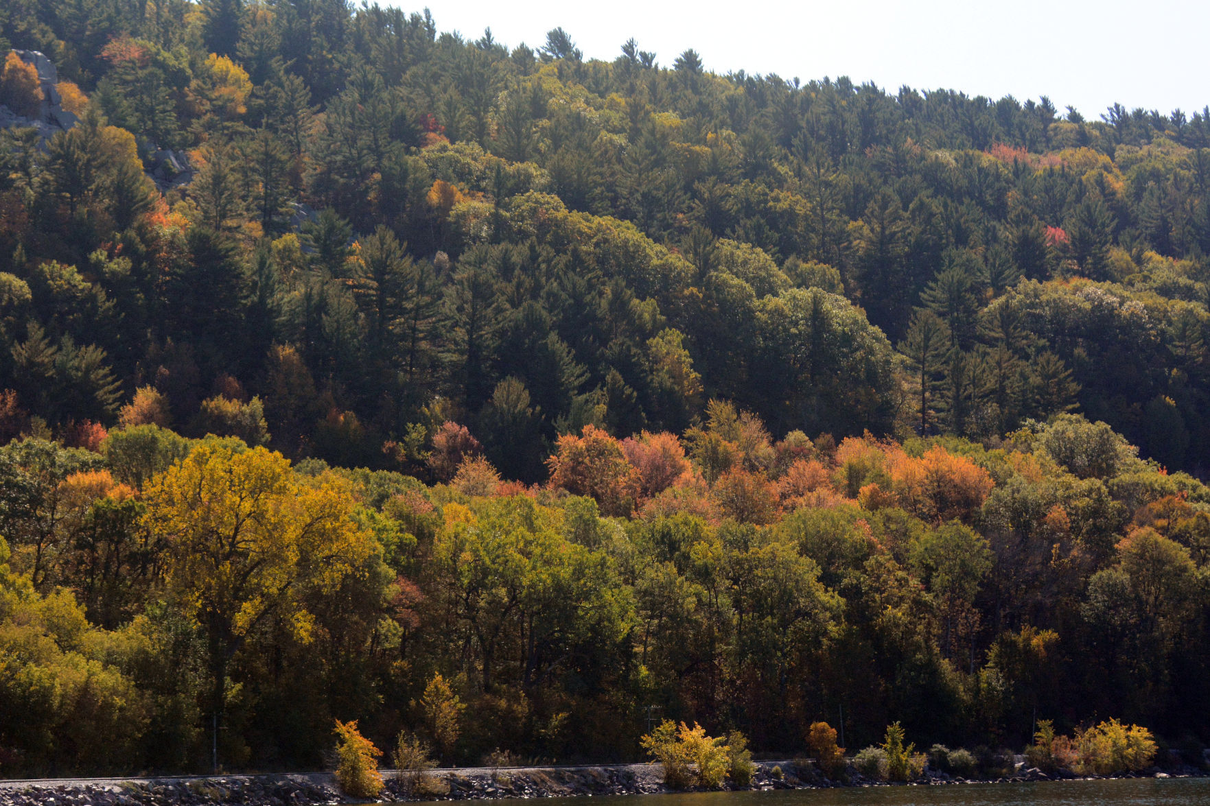 Baraboo area fall color, Oct. 8, 2020